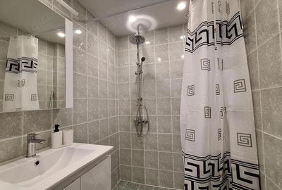 Apartament cu 1 camera in zona Sagului - 4