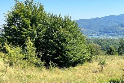 Teren de 10000 mp, în Alexandru cel Bun - 7