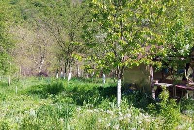 Teren de 1000 mp, în Central