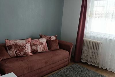Apartament cu 2 camere semidecomandat în Cetate - 4