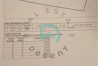 Oportunitate investitie teren, Rupea - 3