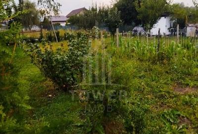 Oportunitate! Teren 1500 mp cu cabană și utilități – Șelimbăr/Cisnădie - 6