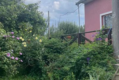 Vand casa + tenen intravilan, CUCI - 4