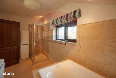 Spațiu comercial, de 180 mp, în Băgara - 17