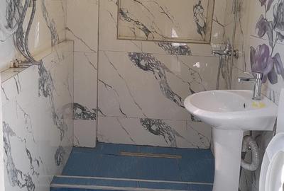 Casă cu 2 camere cu Teren 2870 Mp în Central - 3