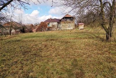 Casă cu 3500 mp Teren, Schitu-Golești, Argeș! - 2