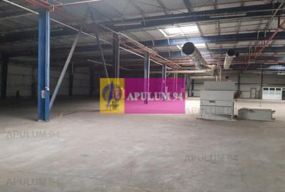 Spațiu industrial, de 4,850 mp, în 1 Decembrie - 24