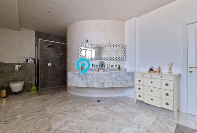 Casă individuală cu 15 camere cu Canalizare în Central - 18