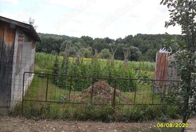 Casa cu teren in Razboienii de Jos, Neamt Casa cu teren in Razboienii de Jos, Neamt - 6