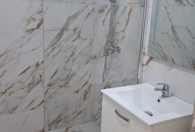 Apartament 2 Camere  de Închiriat în Mamaia Nord 450 euro - 21