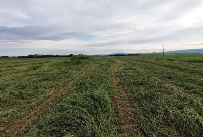 Spațiu comercial, în Central - 4