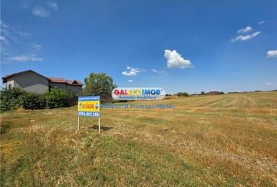 Teren Construcții intravilan de 24995 mp, în Clinceni - 9