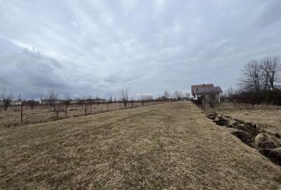 Teren Construcții de 2020 mp, în Nord-Vest - 6