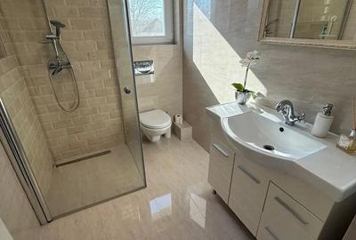 Vand casa individuala Albina, Mosnita Noua - 4