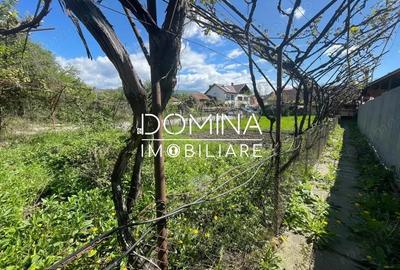 Casă cu 4 camere cu Teren 1623 Mp în Central - 3