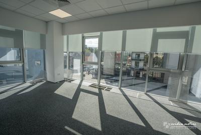 Birouri 216 mp Brancusi - 6