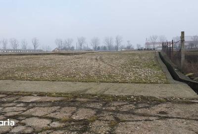 Teren de 15000 mp, în Tinca - 4