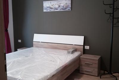 Apartament cu 2 camere decomandat în Dumbrăvița - 4