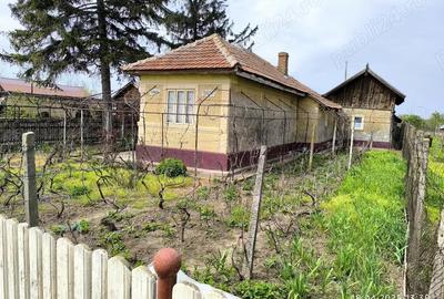 Casă cu 2 camere cu Teren 1900 Mp în Central - 5