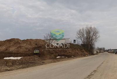 Teren Construcții intravilan de 1991 mp, în Cernica - 1