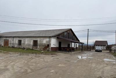 Spațiu comercial, de 583 mp, în Central - 5