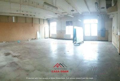 Hale+birouri in Campina--655mp--400.000e - 5