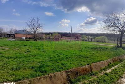 Spațiu comercial, în Buturugeni - 20
