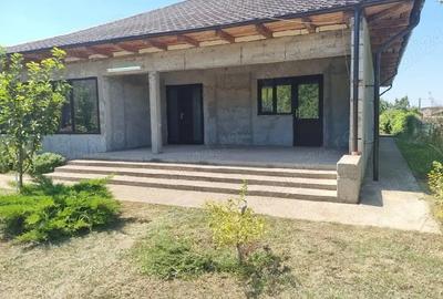 Casă cu Teren 1233 Mp în Odaia Manolache - 10