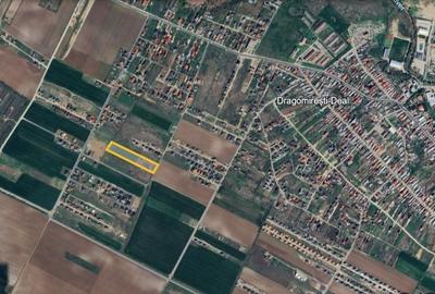 Vanzare | Teren Intravilan 6500 mp | Str. Macului |