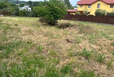 Teren intravilan 800 m Patriarh Iustinian Marina - 1