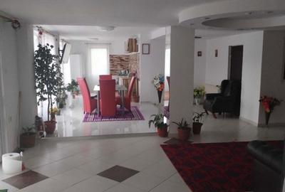 Spațiu comercial, de 420 mp, în Mintia - 4