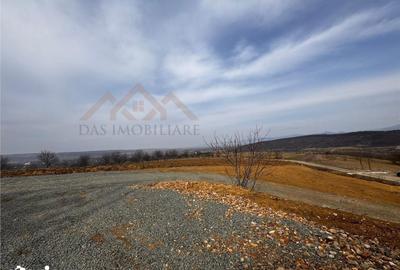 Teren de 3000 mp, în Coaș - 2