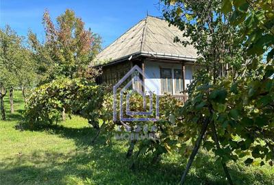 Teren de 4872 mp, în Antoceni - 9