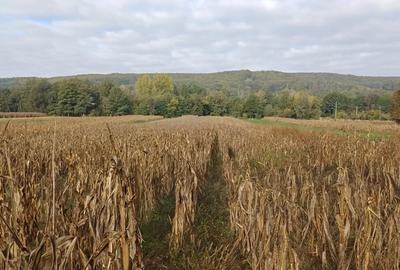 Teren agricol sat.Voroveni - 5