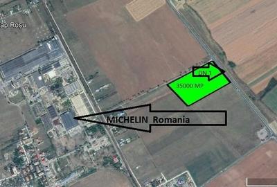 Teren agricol extravilan de 30000 mp, în Băicoi - 2