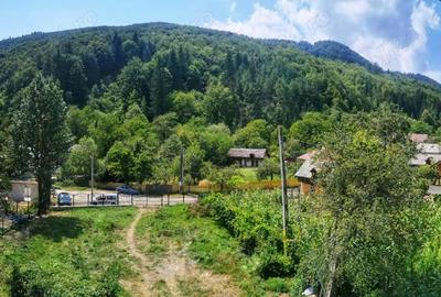 Casă cu 5 camere cu Teren 2500 Mp în Pângărați - 5