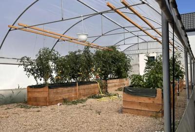 Casă cu 5 camere cu Teren 1120 Mp în Plaiul Vulcanești - 17