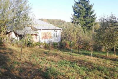 Casă cu 4 camere cu Teren 25000 Mp în Călinești - 6