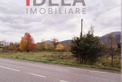Teren de 1000 mp, în Alexandru cel Bun - 3