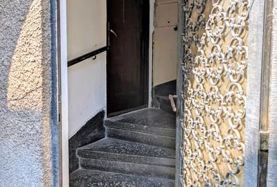 Apartament la parter de vila eleganta P+1 cu doar 2 apt,Parcul Carol,1/2 curte - 12