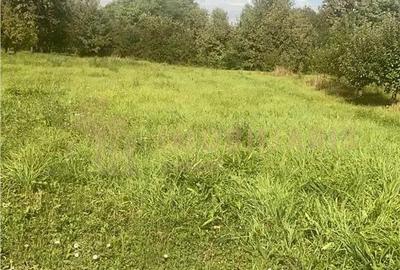 Teren intravilan 80 ari cu posibilitate de parcelare, Ardusat - 1