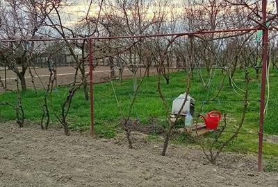 Casă cu 2 camere în Cermei - 4