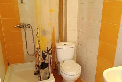 Garsoniera ( ap. 1 camera) Dragos Voda - 7