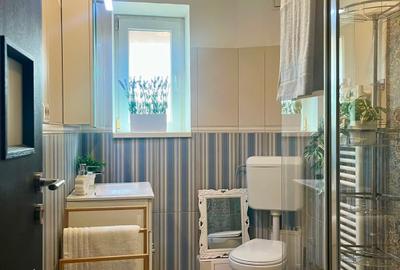 Apartament cu 2 camere semidecomandat în Calea Plevnei - 11