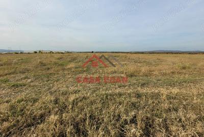 Casă cu Teren 10000 Mp în Băicoi - 9