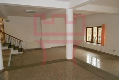 Casa functiuni multiple pretabil pentru schimbare de destinatie Cipariu - 6