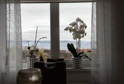 Casă individuală cu 10 camere cu Canalizare în Făget - 9