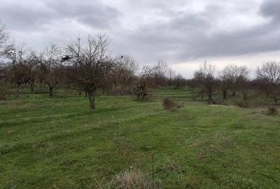 Teren de 3700 mp, în Central - 3