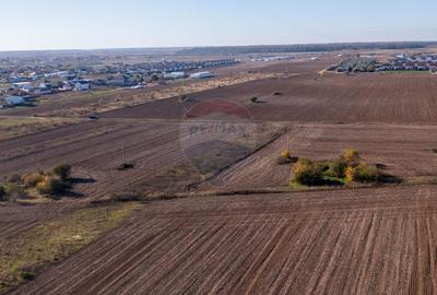 Teren Construcții intravilan de 7400 mp, în Săbăreni - 10