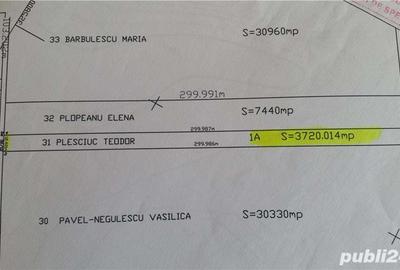 Teren de 3720 mp, în Domnești